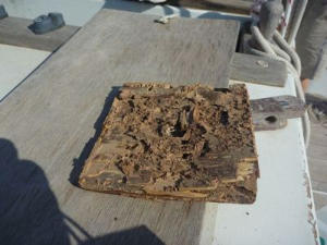 Mangled square piece of wood