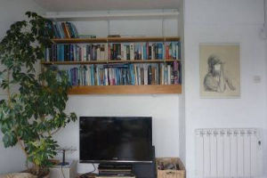 Living room with TV, plants and bookshelves