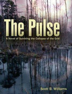 Book cover: The Pulse. A Novel of Surviving the Collapse of the Grid. Scott B Williams.