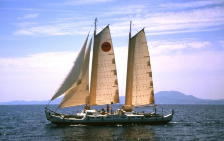 Pahi 63 sailing