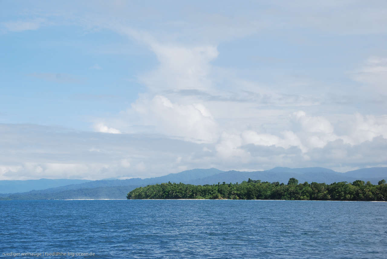 An island with lots of trees, surrounded by the sea
