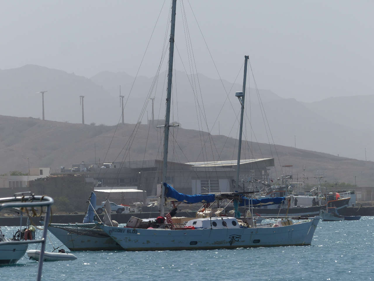 A Wharram Tehini catamaran in harbour
