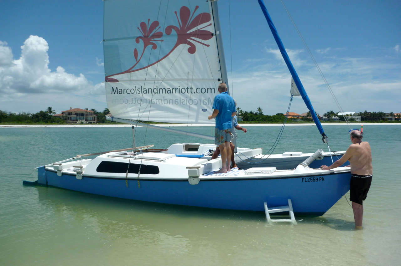 A blue catamaran on the water near the shore