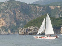 Wharram catamaran sailing on the coast