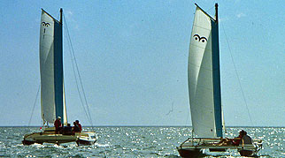 Wharram boats under sail
